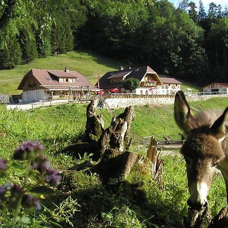 Ferienwohnung Hochsteinalm Traunkirchen Ngoại thất bức ảnh