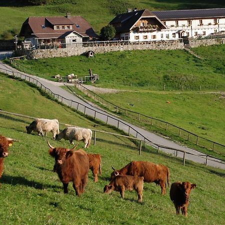 Ferienwohnung Hochsteinalm Traunkirchen Ngoại thất bức ảnh