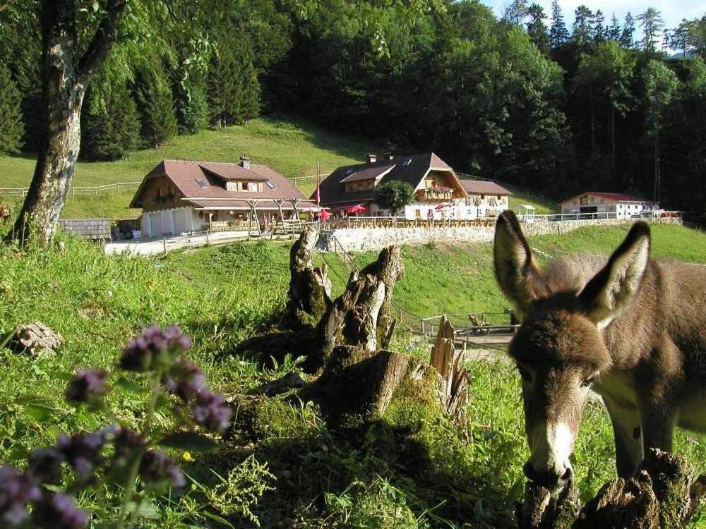Ferienwohnung Hochsteinalm Traunkirchen Ngoại thất bức ảnh