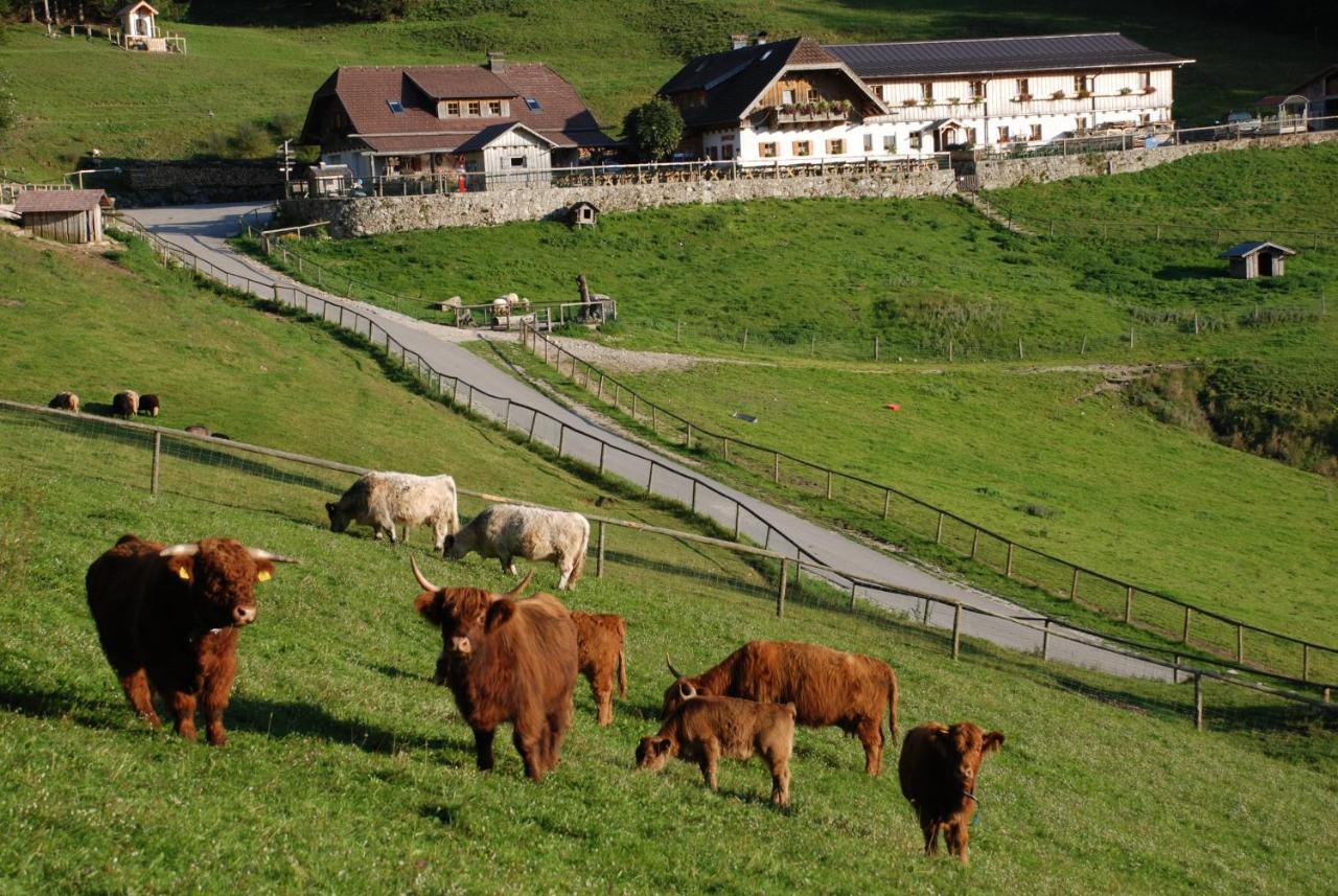 Ferienwohnung Hochsteinalm Traunkirchen Ngoại thất bức ảnh